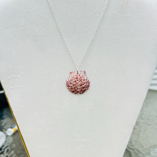 Calico Scallop Shell Necklace on 18 Inch Silver Chain