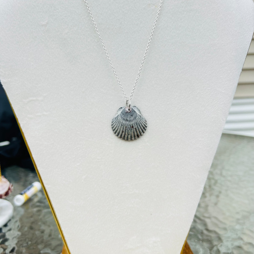 Calico Scallop Shell Necklace on Silver 18 Inch Chain